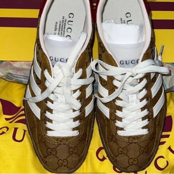 adidas gucci shoes womens